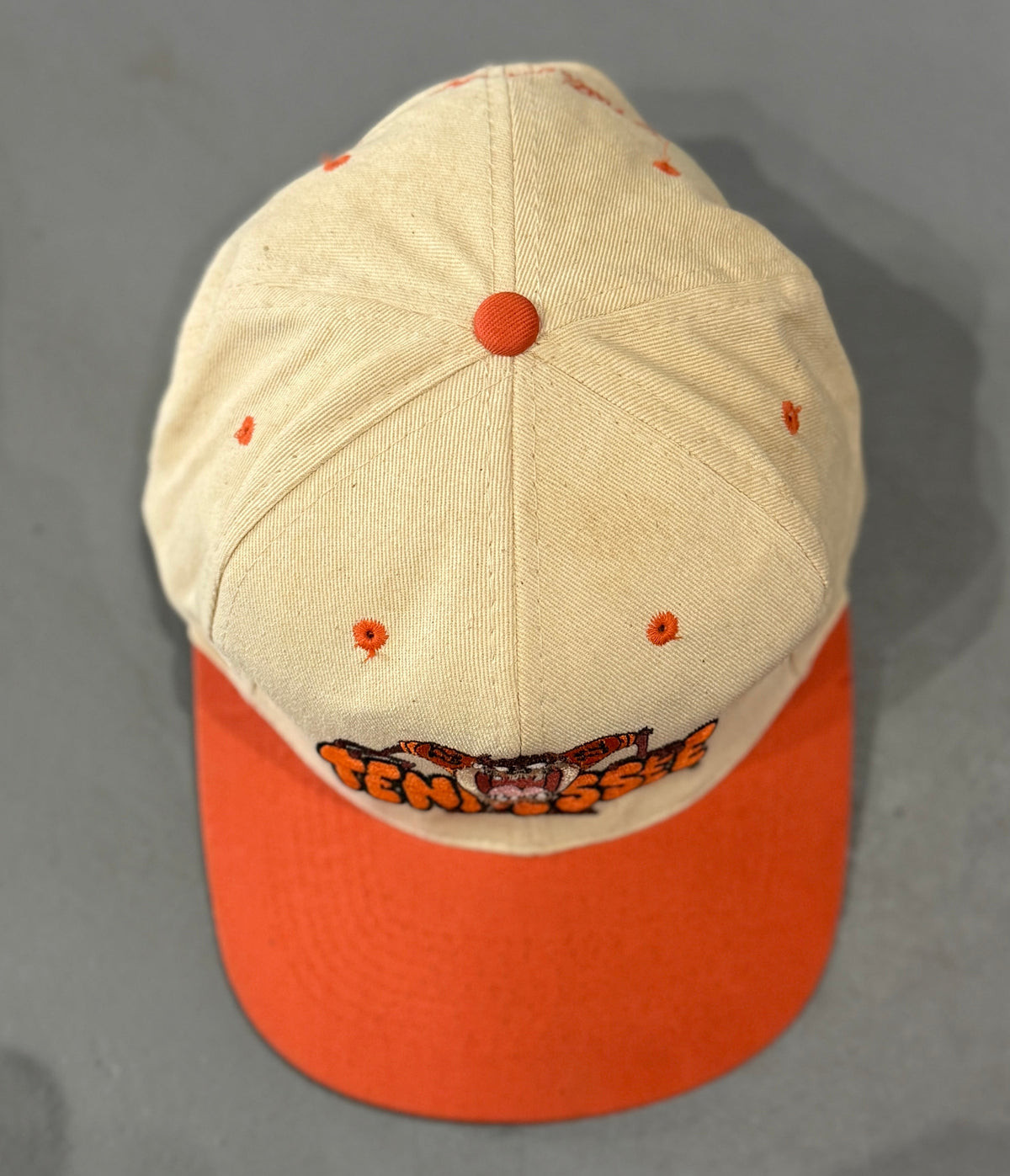 Tennessee Volunteers TAZ Snapback Hat