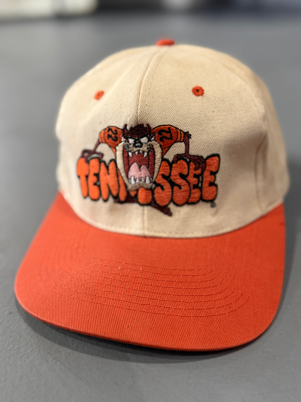 Tennessee Volunteers TAZ Snapback Hat