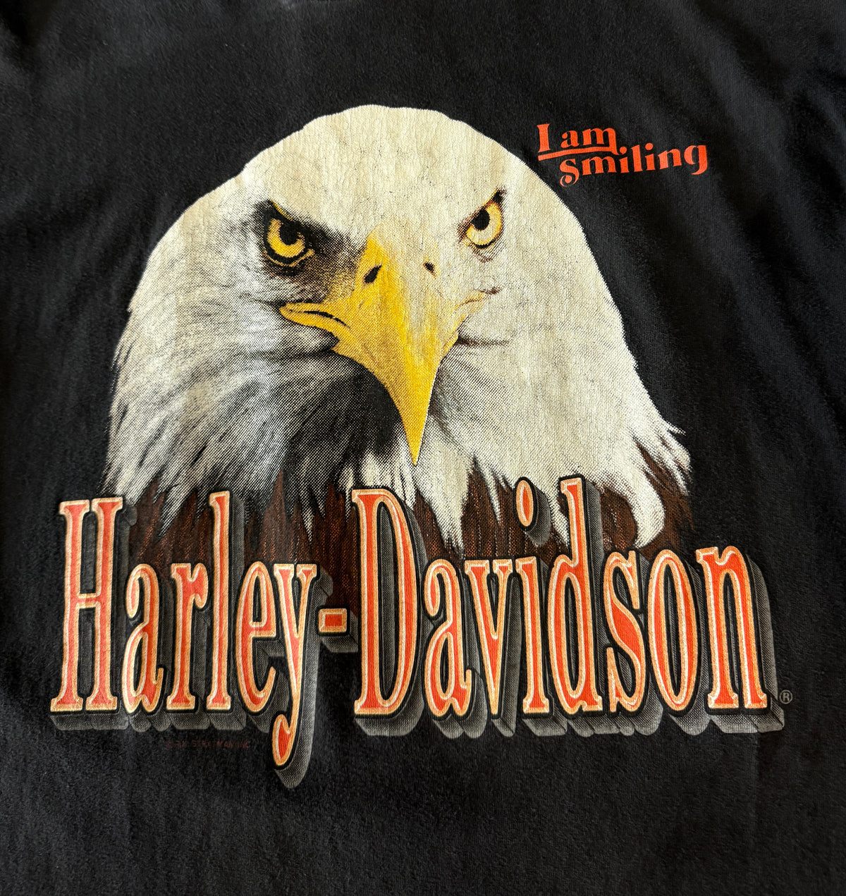 Harley Davidson 91’ Eagle Smile T-Shirt (L)