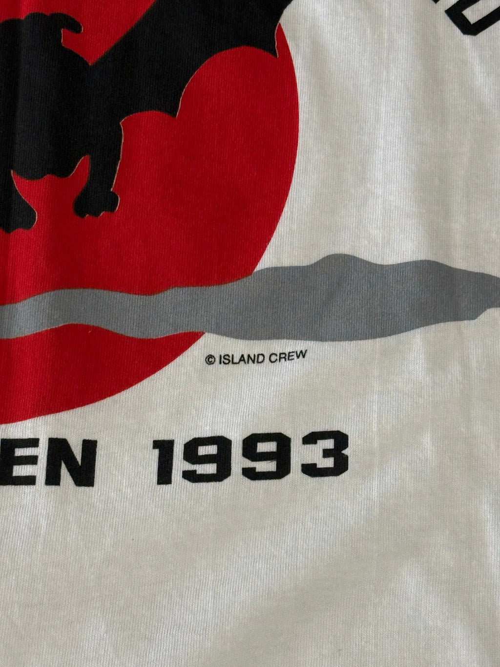 Georgia Vs Florida 1993 T-Shirt (XL)