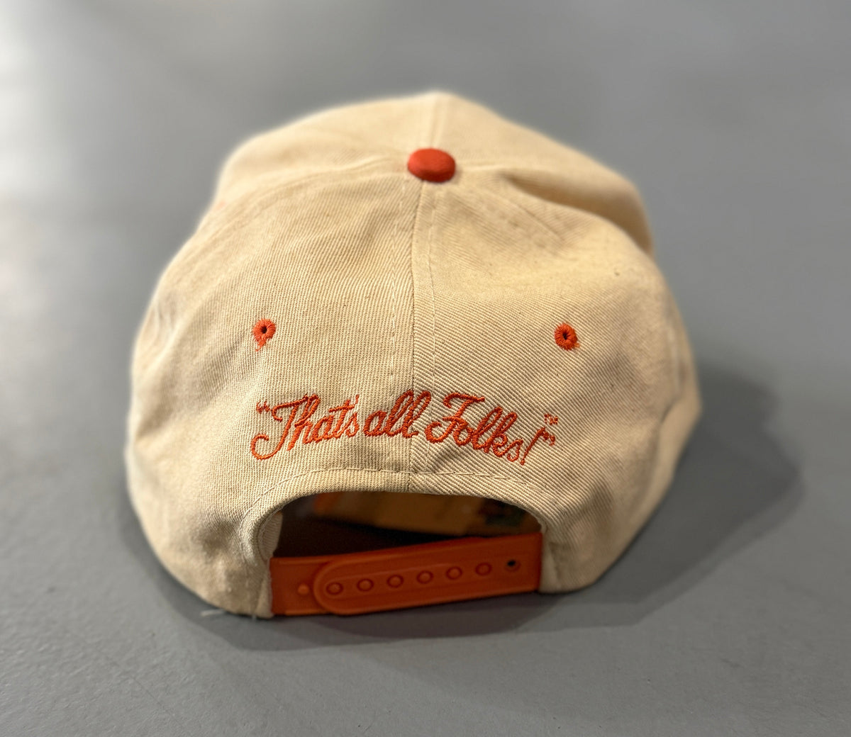 Tennessee Volunteers TAZ Snapback Hat