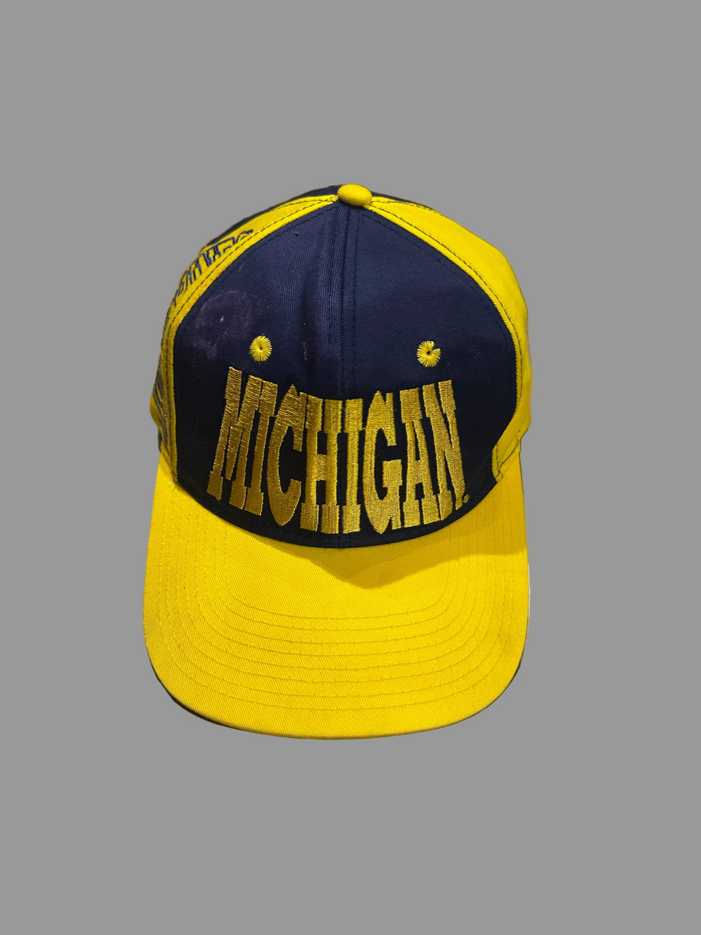 Vtg Michigan Snapback